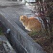 記事画像